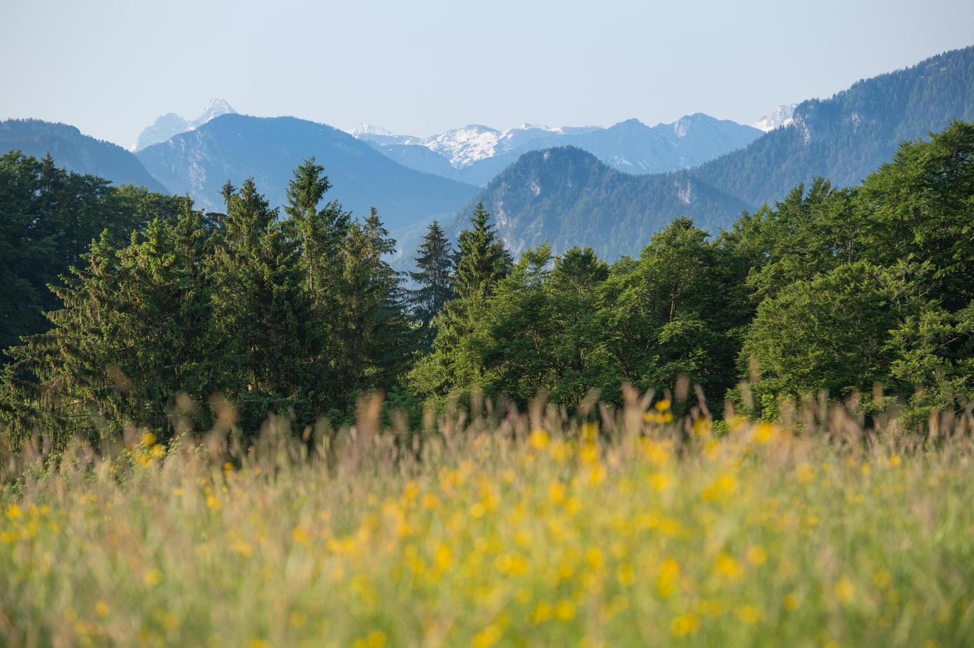 Вілла Ferienhaus Geissler Meran Molberting Екстер'єр фото